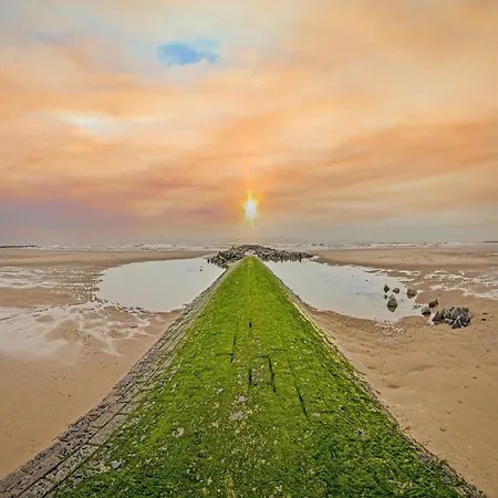 With Pool In Middelkerke